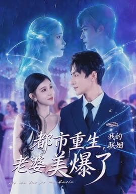 都市重生，我的联姻老婆美爆了海报