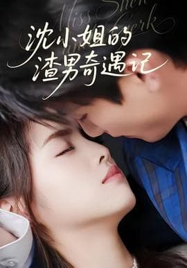 沈小姐的渣男奇遇记海报