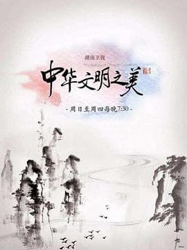 中华文明之美2017海报